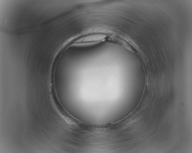 X0000074020438200609181905