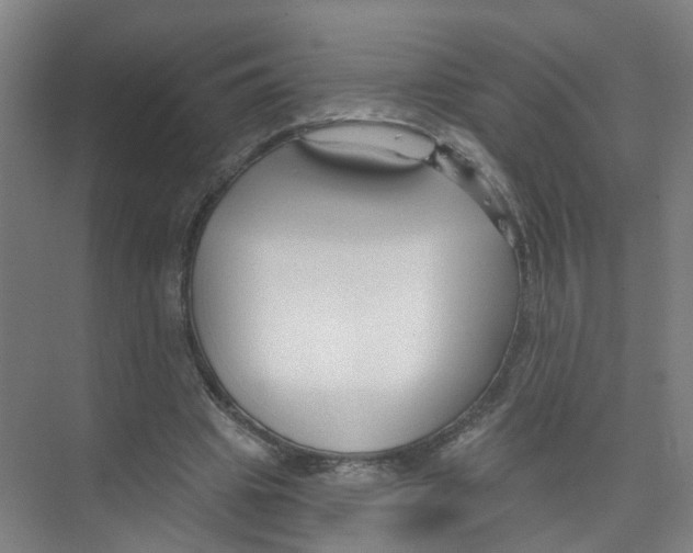 X0000074020441200609181905