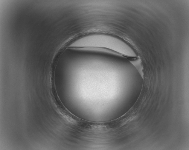 X0000074020446200609181905