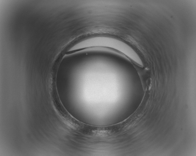 X0000074020448200609181905