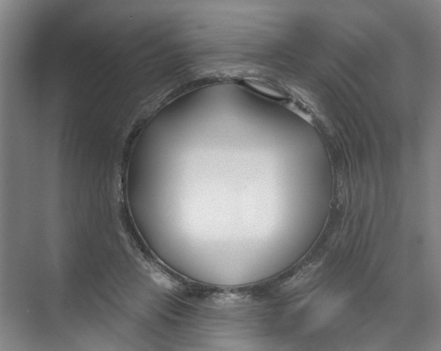 X0000074020453200609181905
