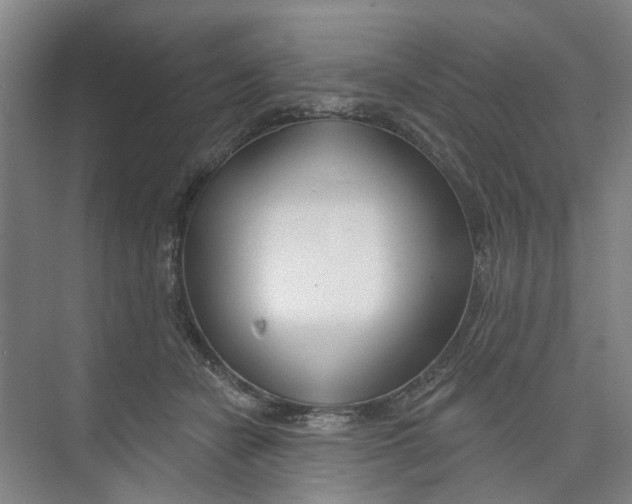X0000074020462200609181905