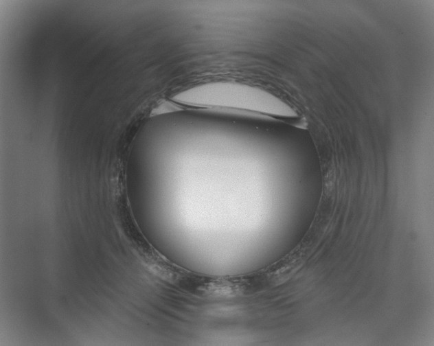 X0000074020464200609181905