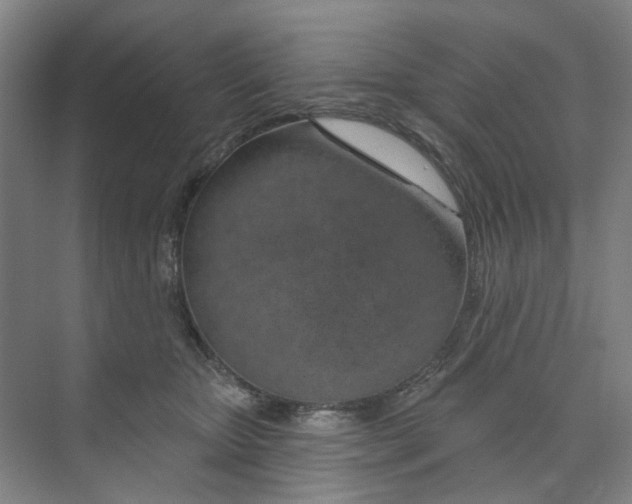 X0000074020467200609181905