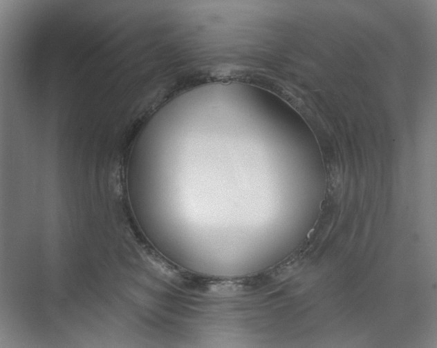 X0000074020470200609181905