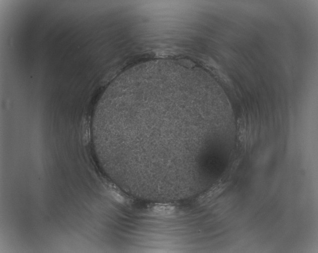 X0000074020471200609181905