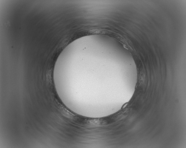X0000074020473200609181905