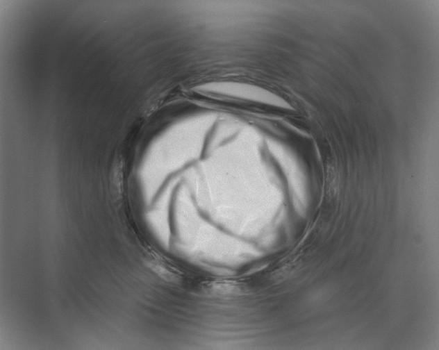 X0000074020475200609181905