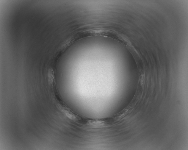 X0000074020476200609181905