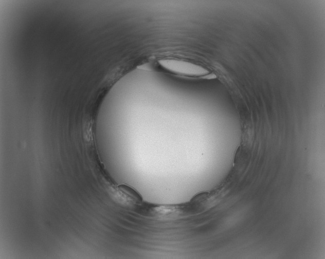 X0000074020477200609181905