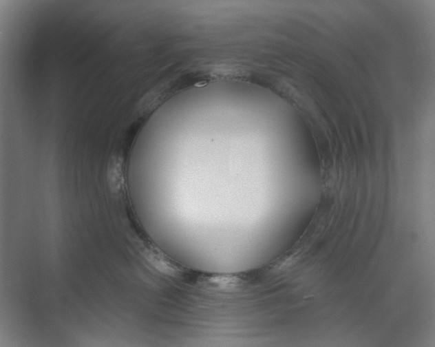 X0000074020478200609181905