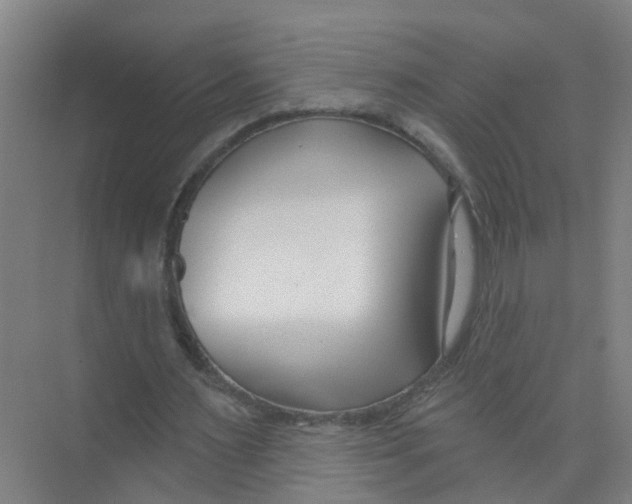 X0000074020483200609181904