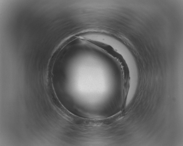 X0000074020484200609181904