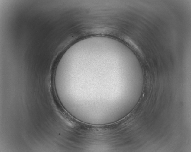 X0000074020486200609181904