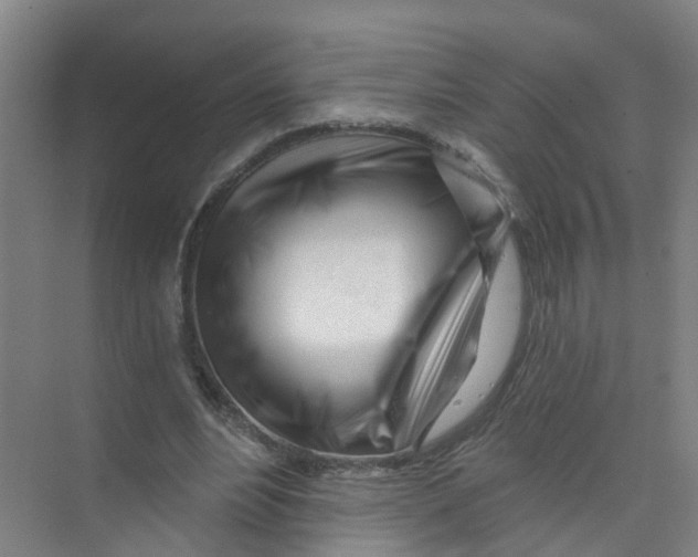 X0000074020488200609181904