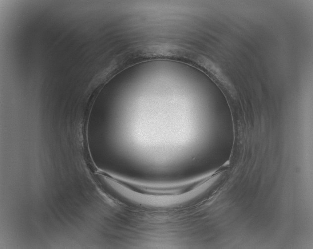 X0000074020489200609181904