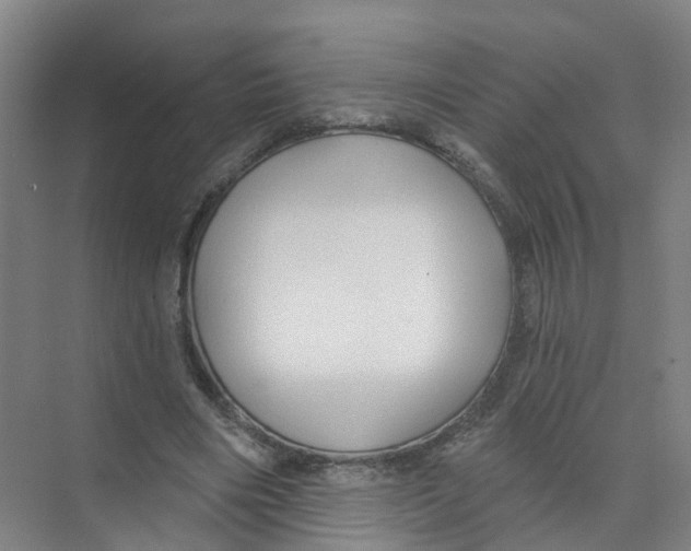 X0000074020490200609181904