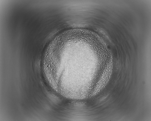 X0000074020491200609181904