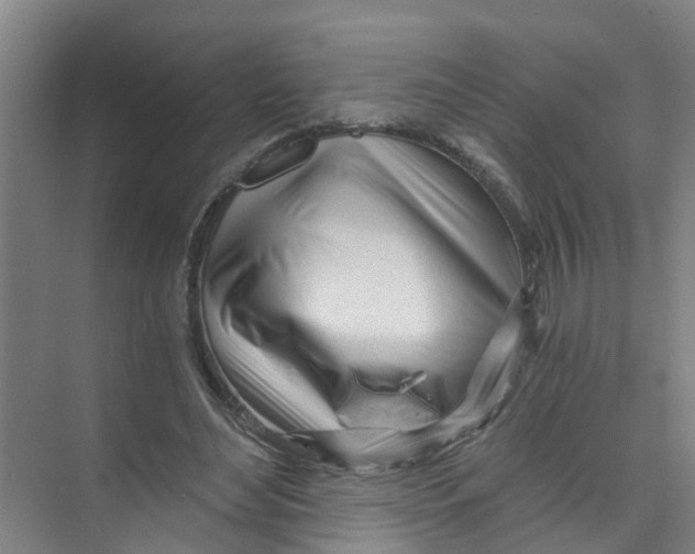 X0000074020492200609181904