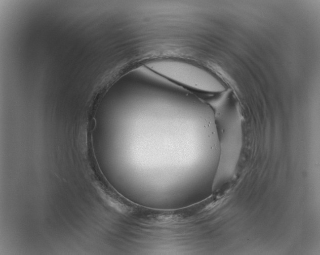 X0000074020493200609181904