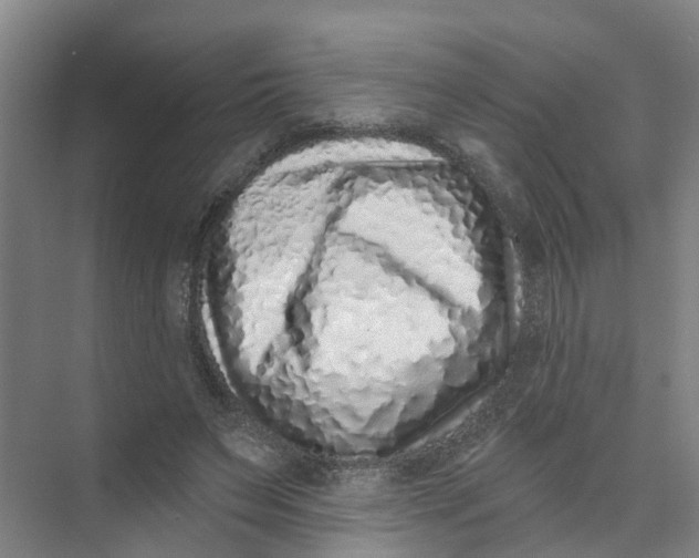 X0000074020495200609181904