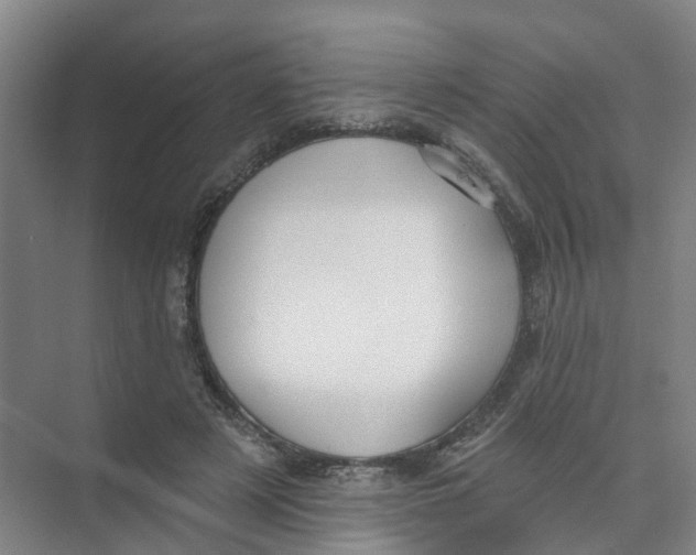 X0000074020497200609181904