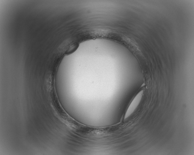 X0000074020498200609181904