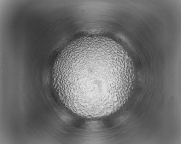 X0000074020499200609181904