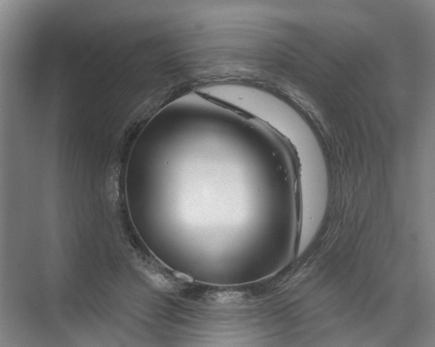 X0000074020501200609181904