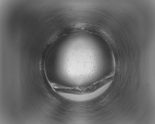 X0000074020504200609181904