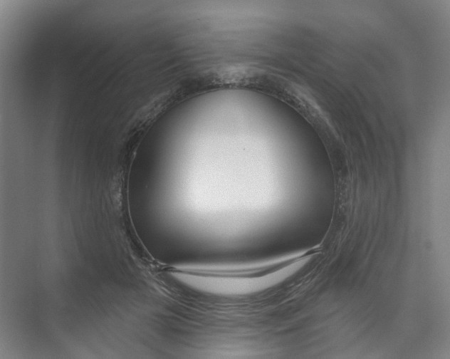 X0000074020505200609181904