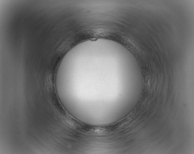 X0000074020506200609181904