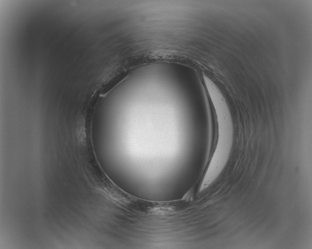 X0000074020508200609181904