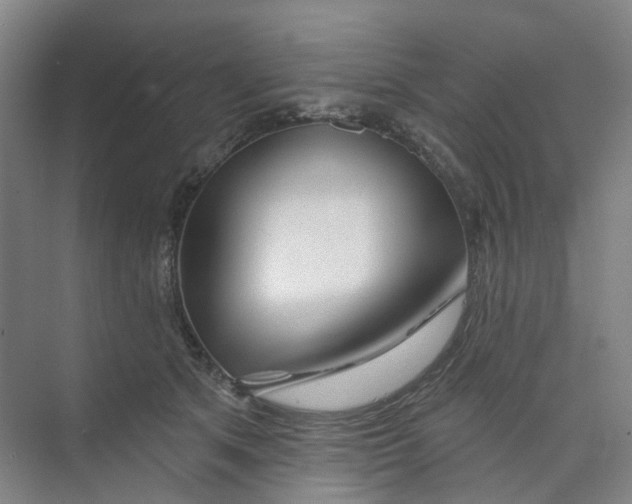 X0000074020513200609181904