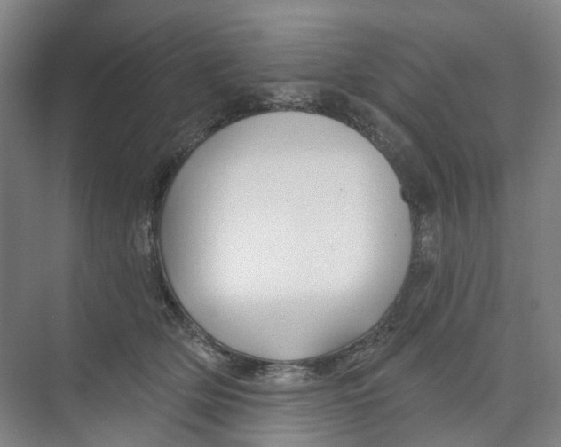X0000074020514200609181904