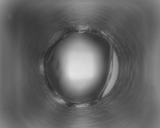 X0000074020516200609181904