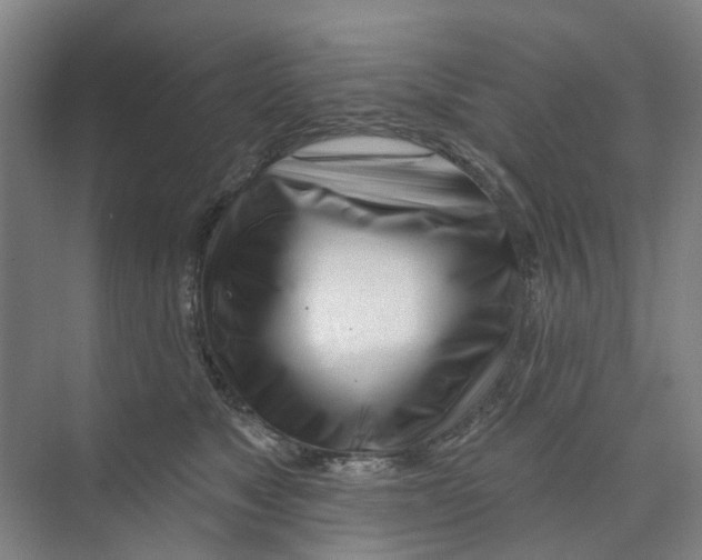 X0000074020517200609181904