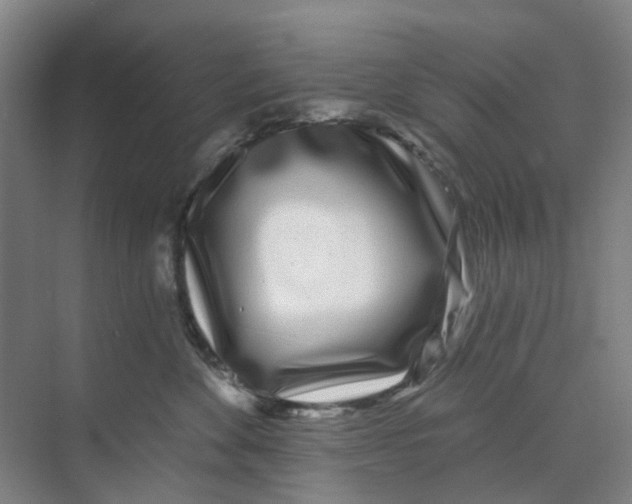 X0000074020524200609181904