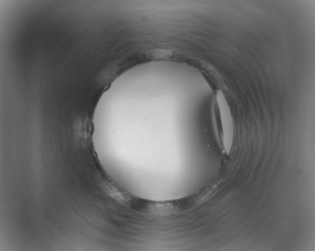 X0000074020525200609181904