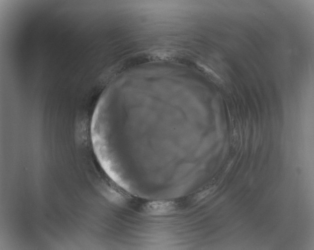 X0000074020526200609181904