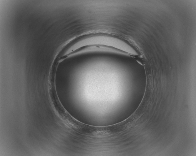 X0000074020536200609181903