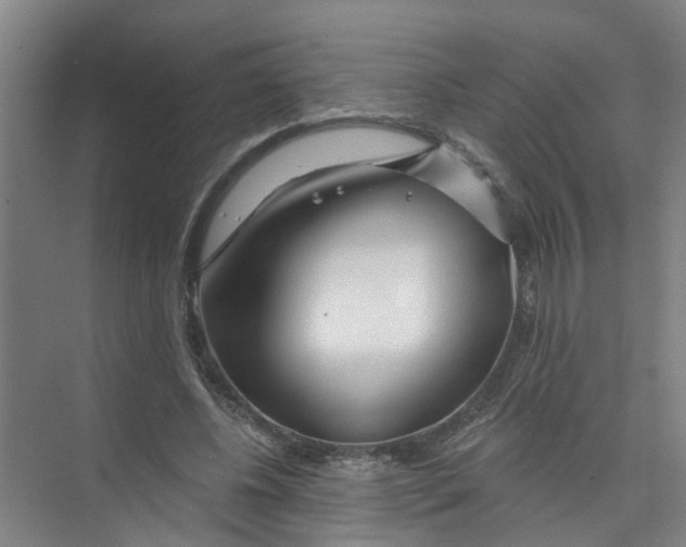 X0000074020540200609181903