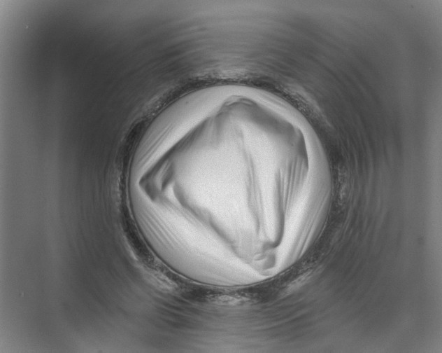 X0000074020542200609181903