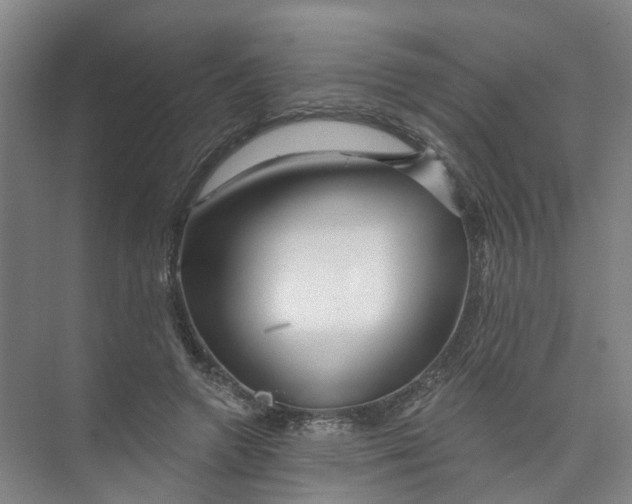 X0000074020546200609181903