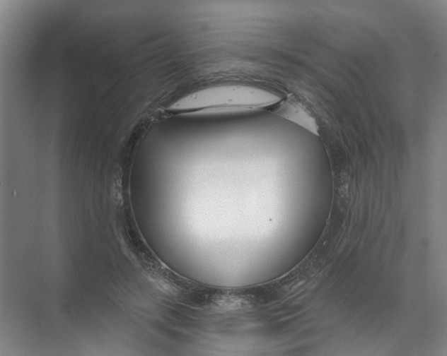 X0000074020547200609181903