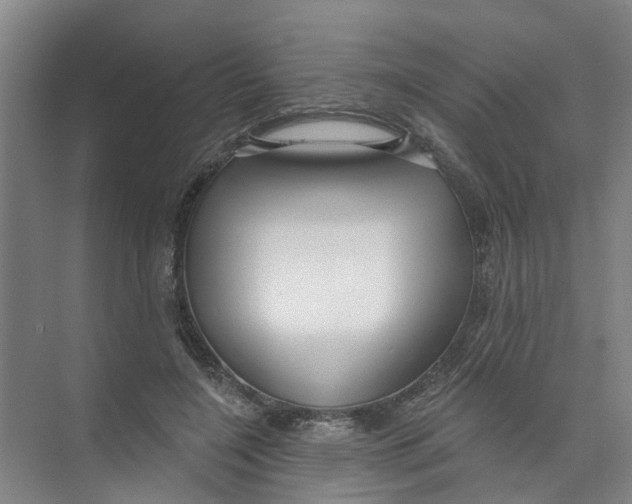 X0000074020548200609181903