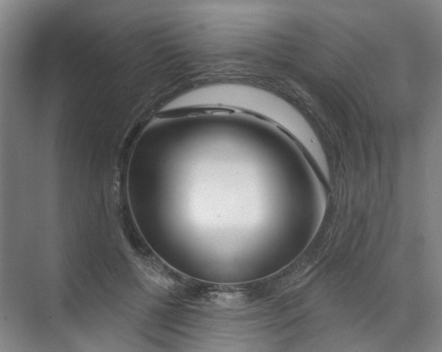 X0000074020552200609181903