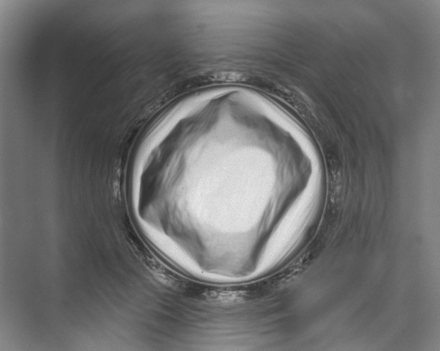 X0000074020553200609181903