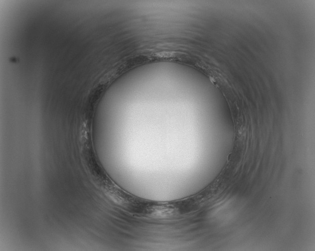 X0000074020555200609181903