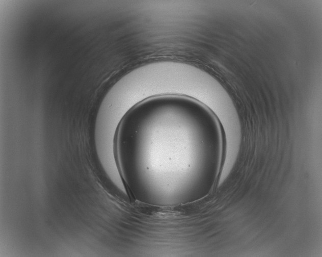X0000074020556200609181903